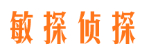 分宜市私家侦探